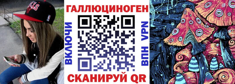 Купить закладки  Сысерть  Псилоцибиновые грибы Psilocybe 